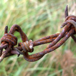 barbedwire
