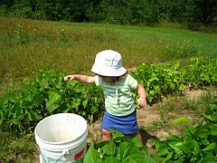 20040810_beans_bucket