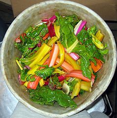 compost squared circle (by colin j.) compost squared circle (by colin j.)