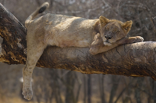 460180284_2a4d5e1123