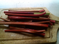 Rhubarb