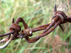 barbedwire