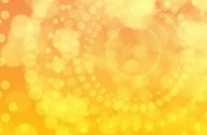 Spring Ahead Special on WordPress Development